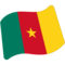 Cameroon emoji on Google